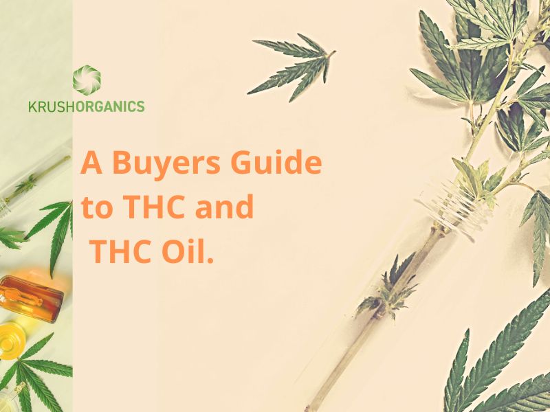 A Buyers Guide to THC and THC Oil